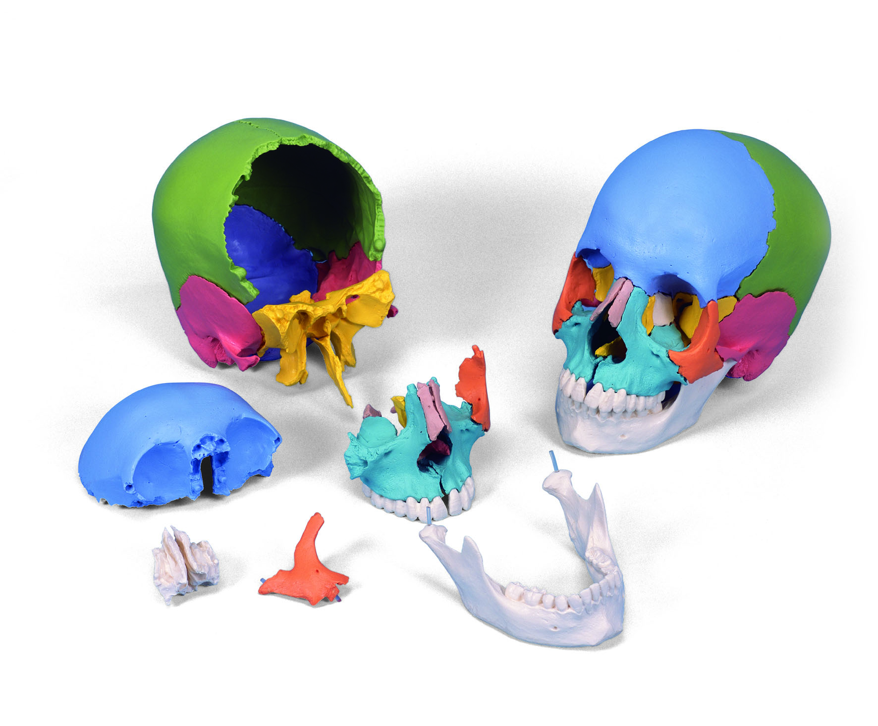 Steckschädel 22-tlg. - farbig -